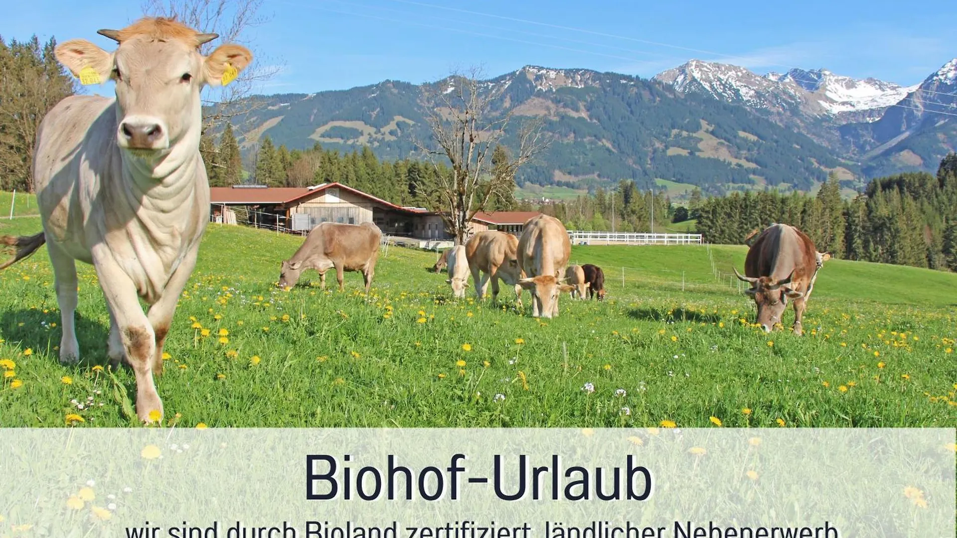 Biohof Burger, 3 Sonnige Fewo, Alle Mit Balkon, Spielzimmer, Grillhuette, 7 Km Vor Oberstdorf ボルシュターラング 0*,