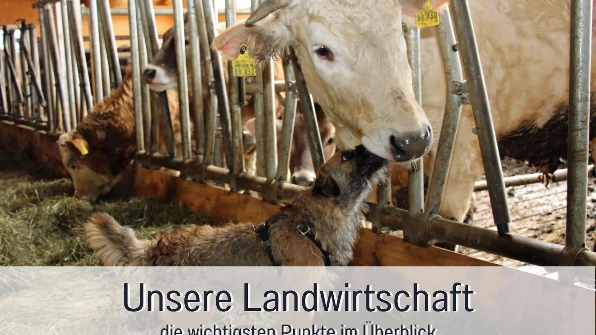 Biohof Burger, 3 Sonnige Fewo, Alle Mit Balkon, Spielzimmer, Grillhuette, 7 Km Vor Oberstdorf Bolsterlang Farm stay