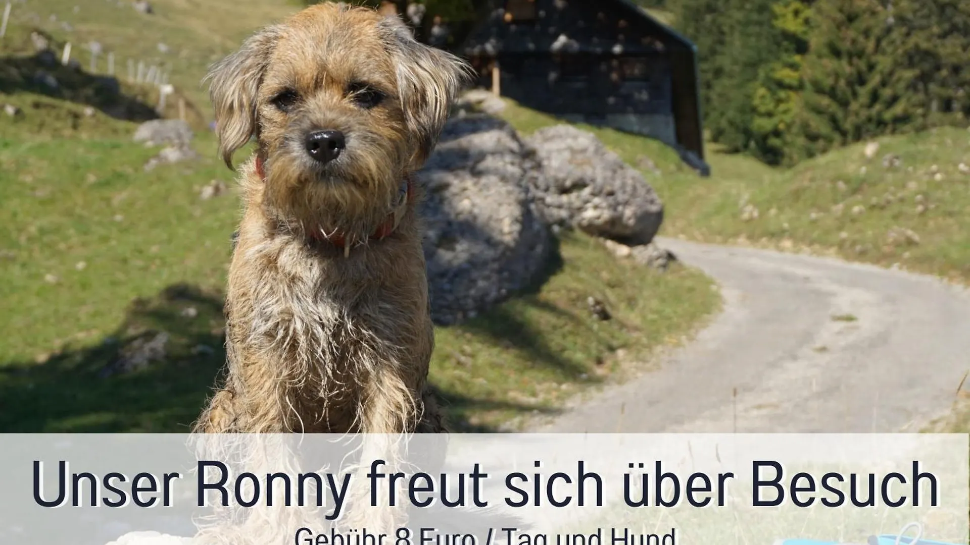Farm stay Biohof Burger, 3 Sonnige Fewo, Alle Mit Balkon, Spielzimmer, Grillhuette, 7 Km Vor Oberstdorf Bolsterlang Germany