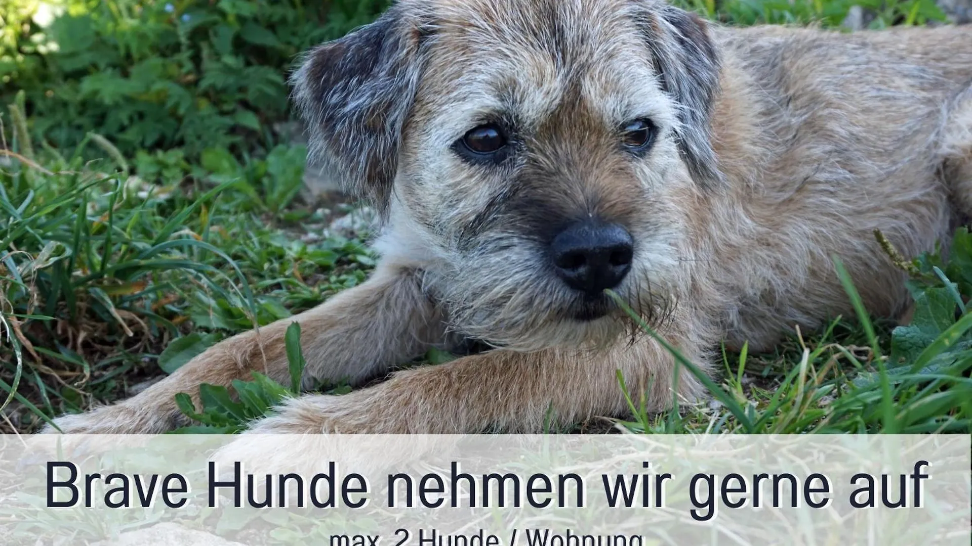 Farm stay Biohof Burger, 3 Sonnige Fewo, Alle Mit Balkon, Spielzimmer, Grillhuette, 7 Km Vor Oberstdorf Bolsterlang