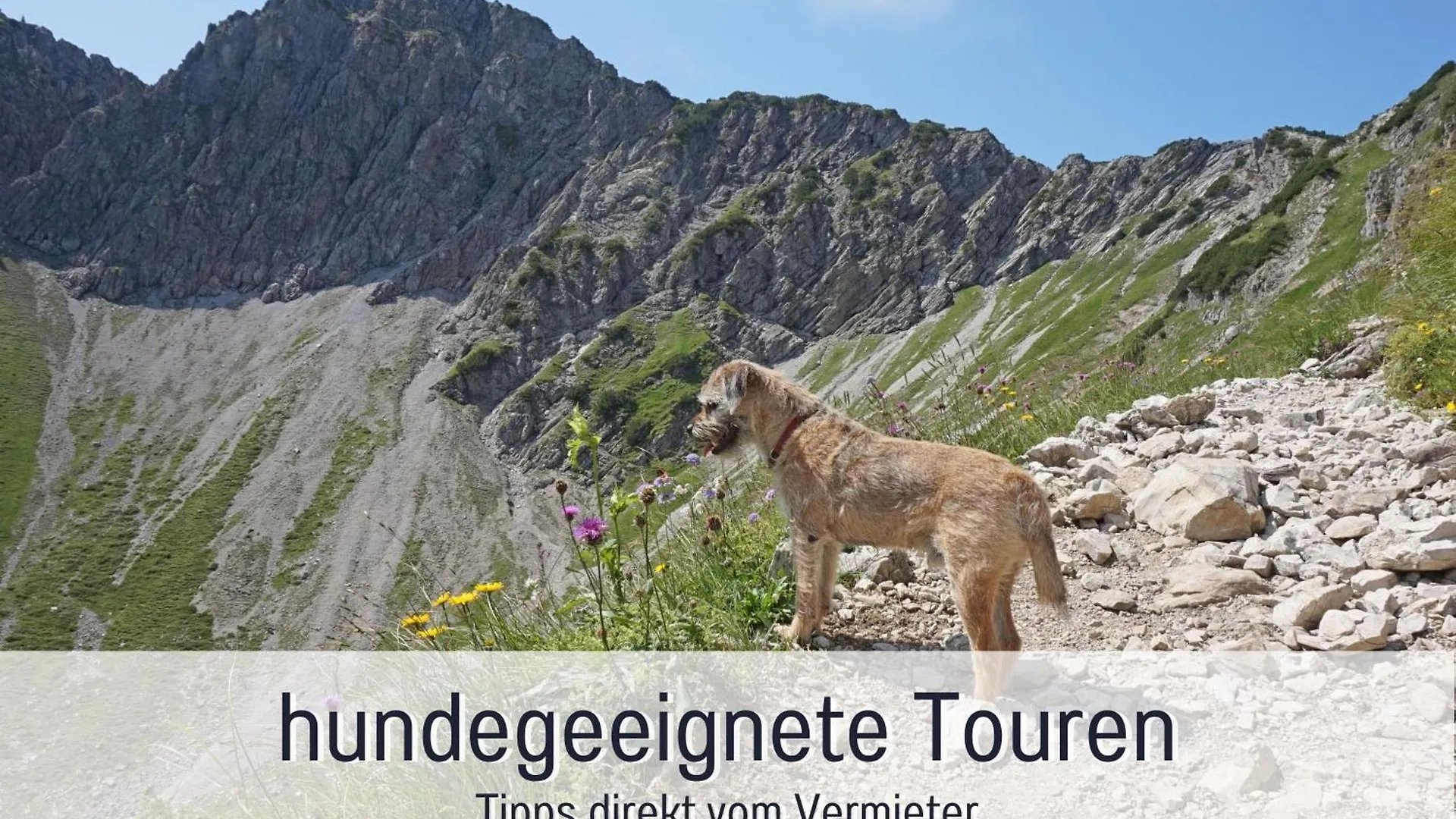 Biohof Burger, 3 Sonnige Fewo, Alle Mit Balkon, Spielzimmer, Grillhuette, 7 Km Vor Oberstdorf Bolsterlang Farm stay